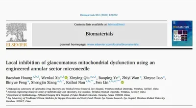 微针递送研究探索青光眼小梁网干预（原报道配图）